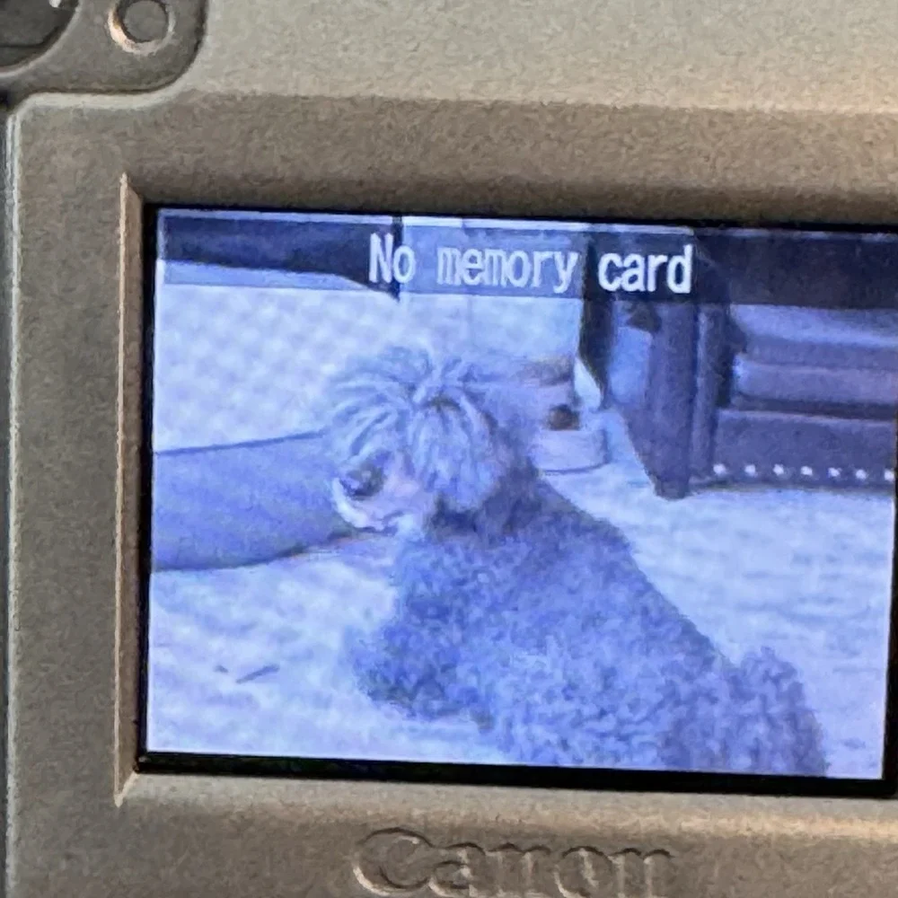 Canon PowerShot A410 Digital y2k Camera 3.2MP Silver Compact Digicam WORKS